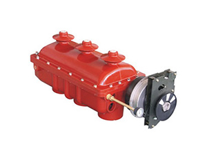 （MR）FL(R)N48-12D戶內交流高壓六（liù）氟化（huà）硫負荷開關
